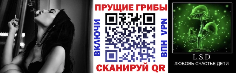 Галлюциногенные грибы ЛСД  Уржум 